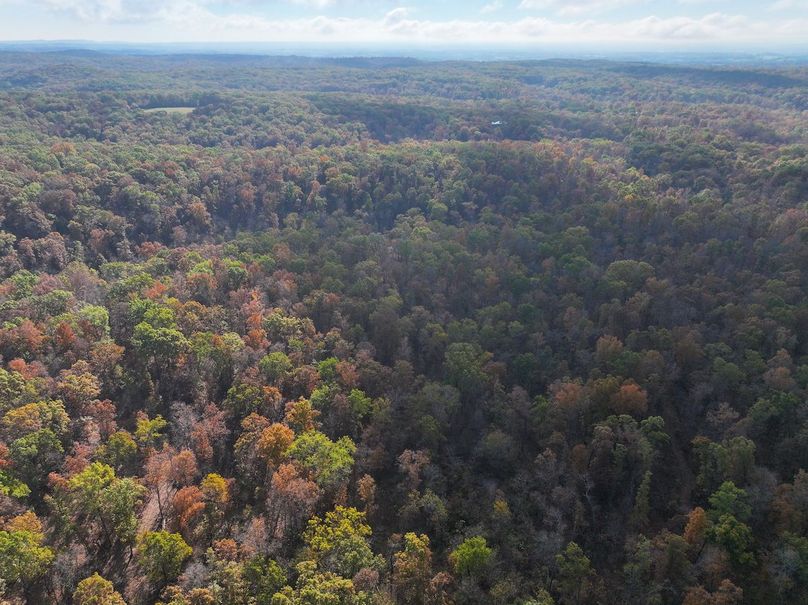 DJI_20251102094028_0808_D