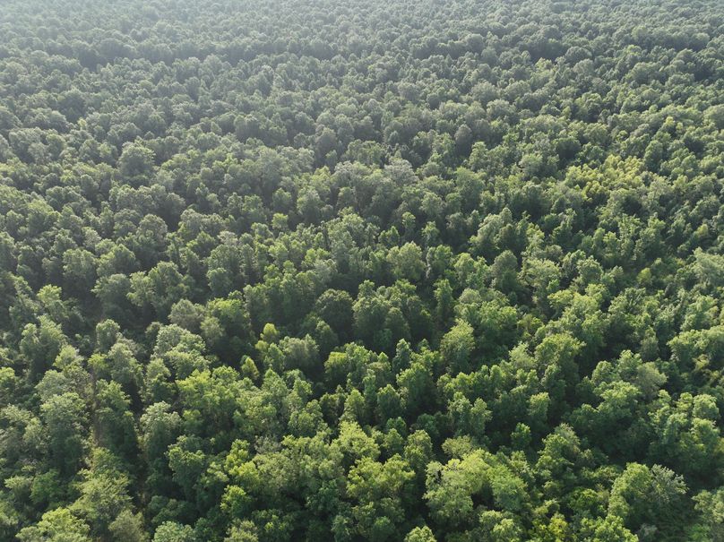 dji_fly_20230630_080822_198_1688137753718_photo