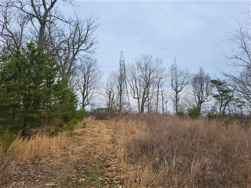 2.87ac_CokesburyRd_CECIL_PIC_008