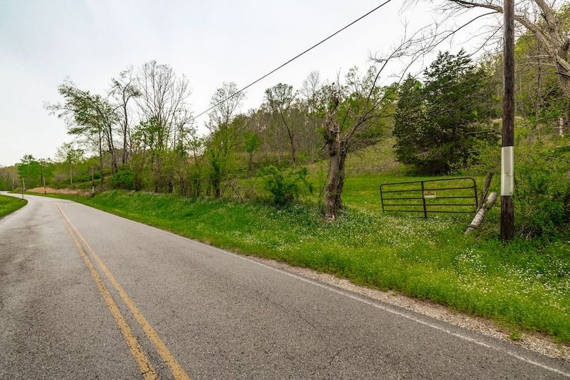 86-web-or-mls-1103 Johnny Spears Rd-99