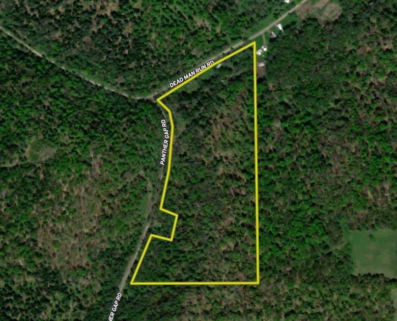 Screen Shot 2023-03-01 at 3.40.55 PM