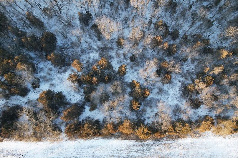 DJI_0491