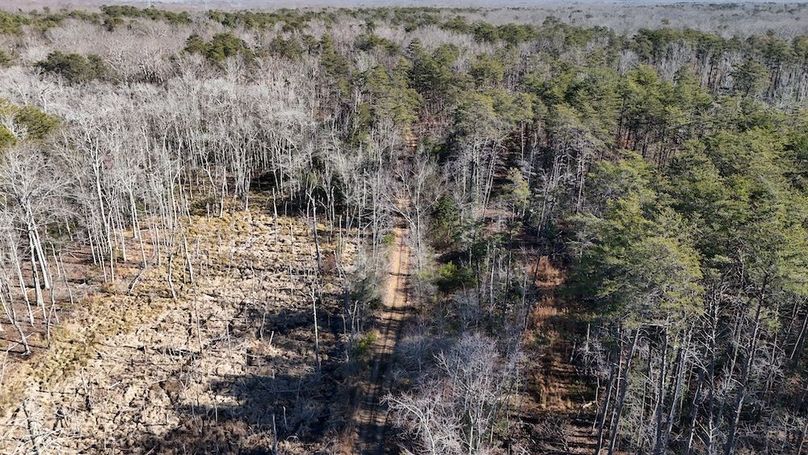 dji_fly_20260113_123226_0144_1768752077223_photo