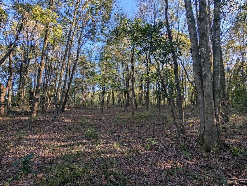 PXL_20251001_214716942