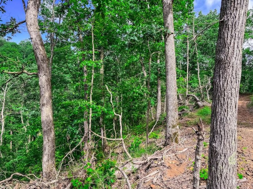 Wirt, WV 137.45 AC Full-46