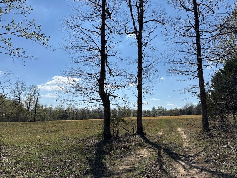 DJI_20260408_140037_516