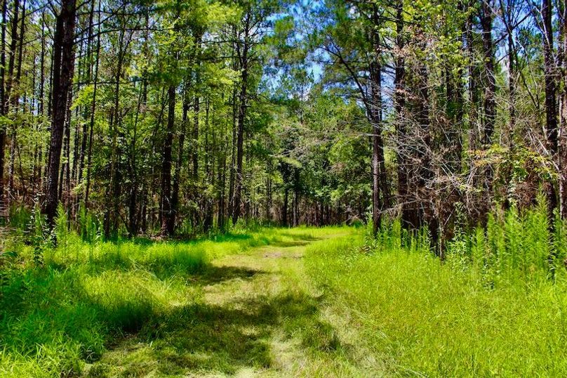 9DB2BAEB-21E8-4469-B796-D80C925B8180_1_201_a