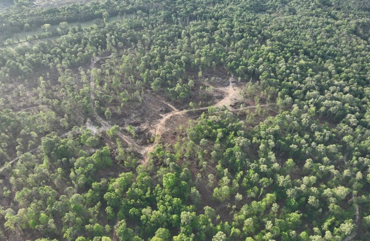 dji_fly_20260407_083122_343_1775580391189_photo