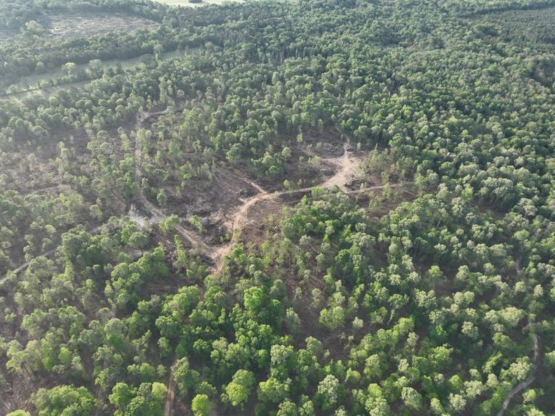 dji_fly_20260407_083122_343_1775580391189_photo