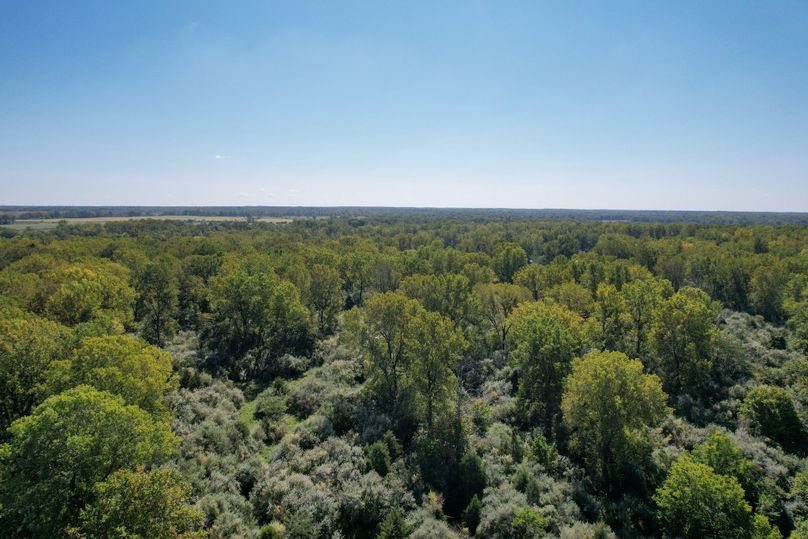 DJI_0131