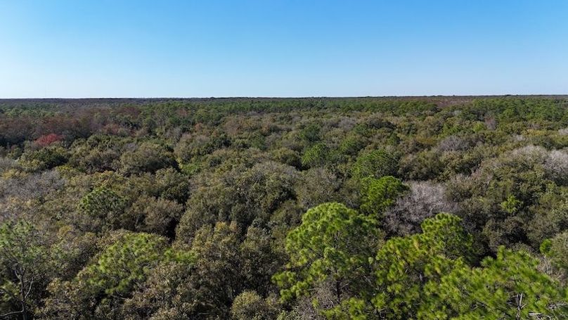 DJI_20251114140706_0969_D