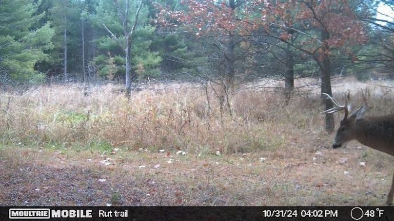 Temp_731870-20241031210631-20241031160249_005008