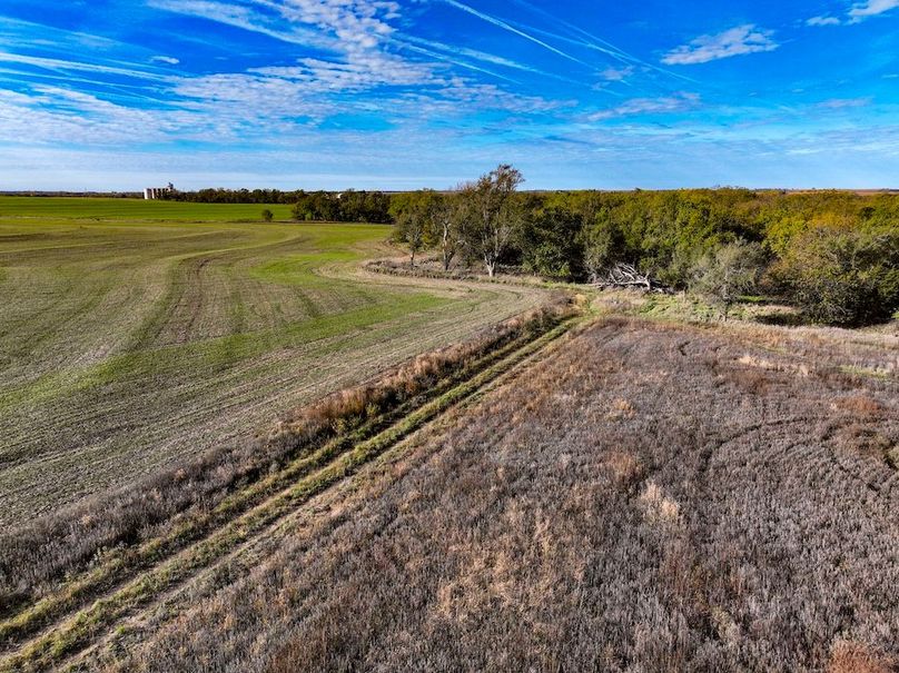 Dickinson Co, 154.5_008