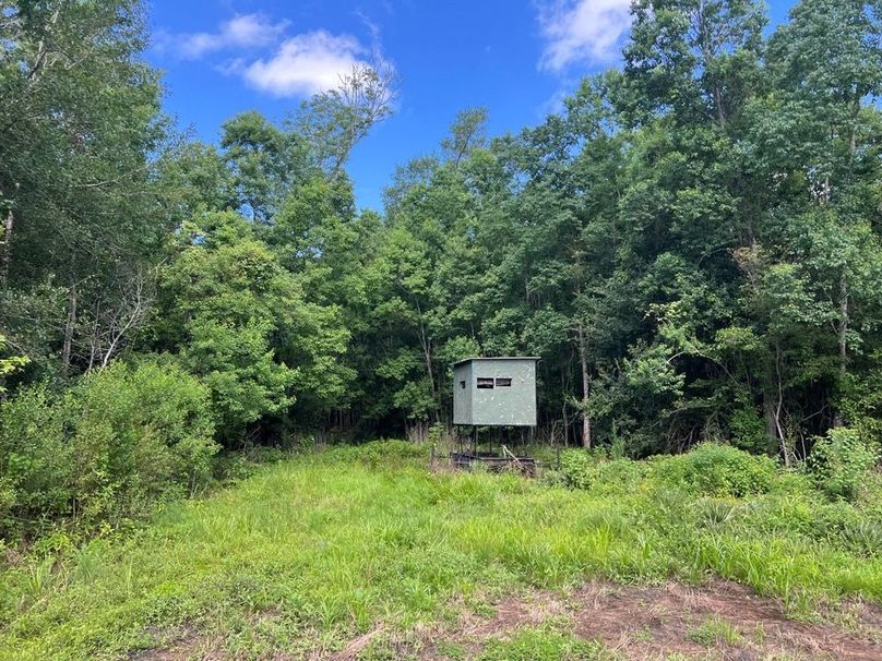 f84bb113-98b6-41d7-9e00-1a2599c777a3 (1)