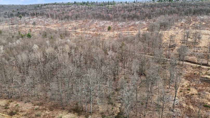 DJI_20260403150907_0047_D