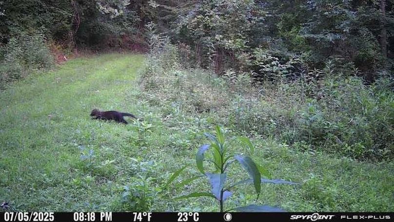 Morgan 111 Trail Cam 3