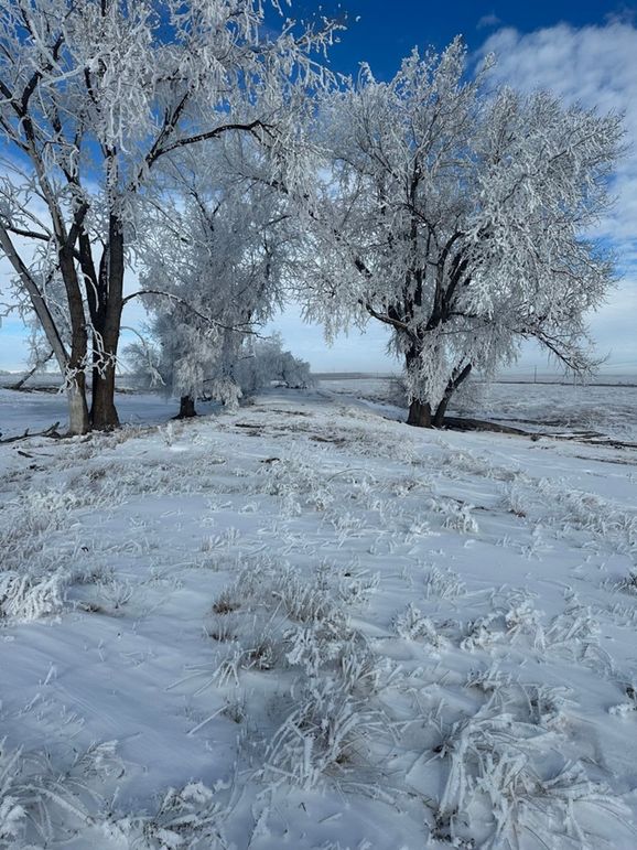 714C1468-ADF6-4E99-9F8E-609F9E705988_1_105_c