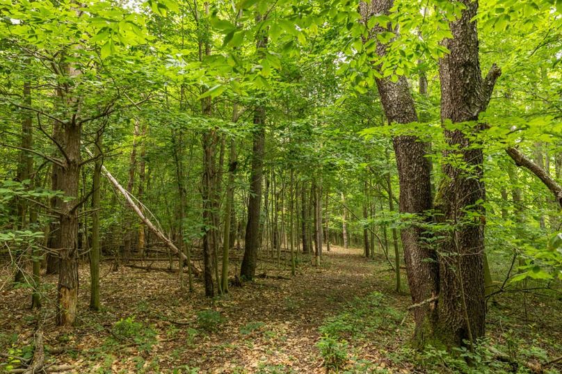 121 Solid Timber Parcel