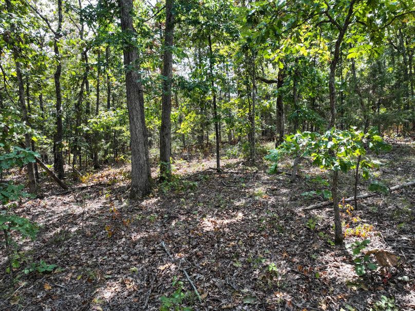 DJI_20250904124449_0581_D