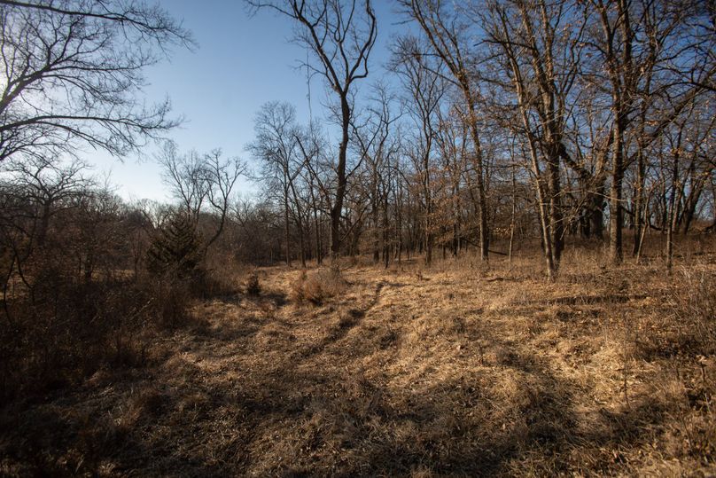 WORTH CO MO 537.44_28