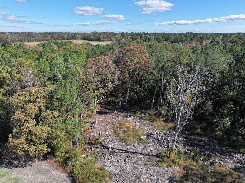 DJI_20251018125022_0181_D