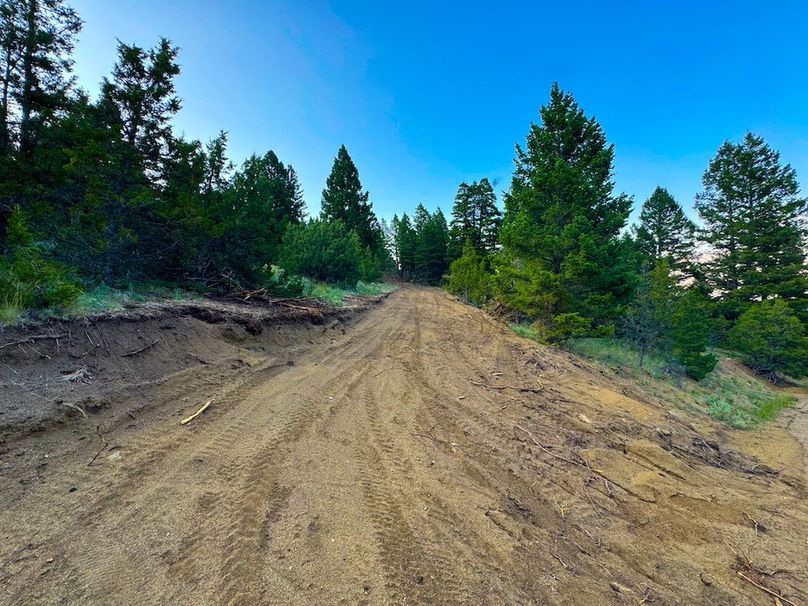 Copy of 20240711-IMG_0798