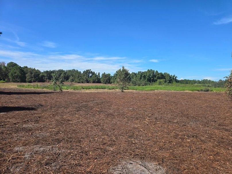 21ac, Sumter, Reelvest15