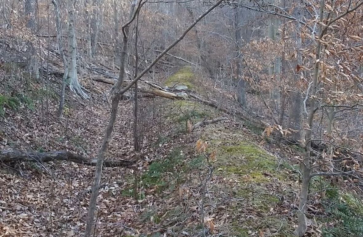 20210109_154300_HDR