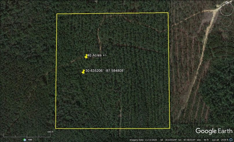 Aerial #1 Approx. 40 Acres Baldwin County, AL