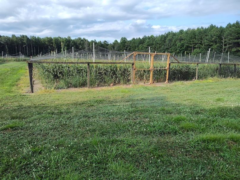 IMG_20250802_172908541