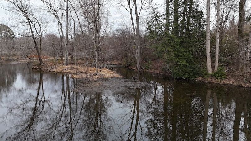 dji_fly_20260218_164642_0037_1771452054412_photo