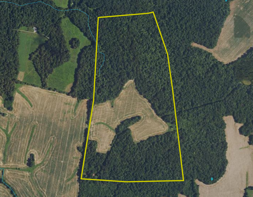 Screen Shot 2023-10-09 at 7.16.38 PM