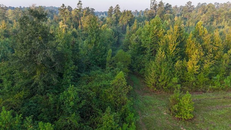 Madison Co - 40 - Clerk-24