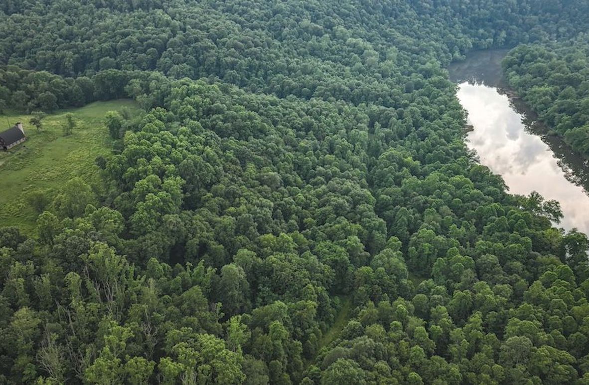 Fayette, 14.14, Kokot-05