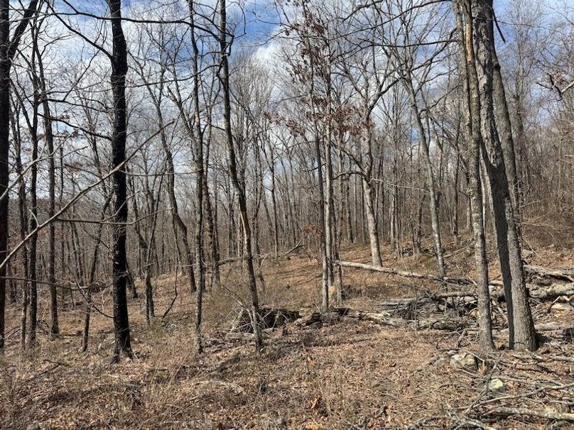 stone8020260306_0075