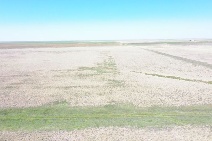 DJI_0650
