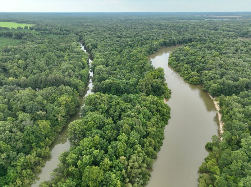 dji_fly_20230727_175254_417_1690507652207_photo 4