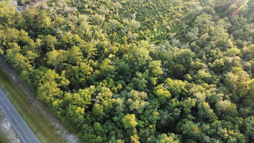 dji_fly_20230624_194928_63_1687650574831_photo_optimized