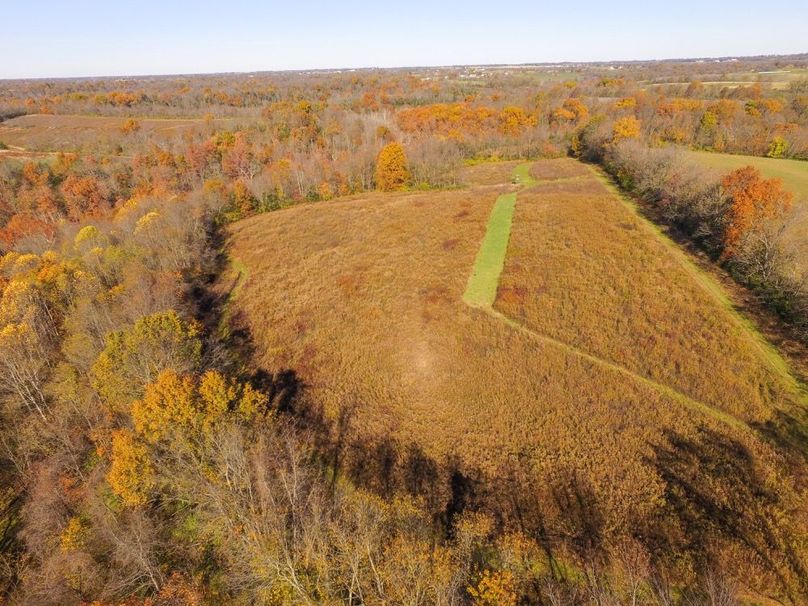 Fleming Petry 120-024