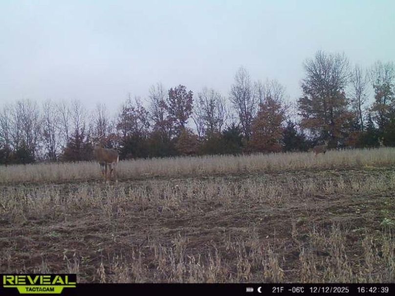 865814042165447-100-1-12122025164238-W1001321