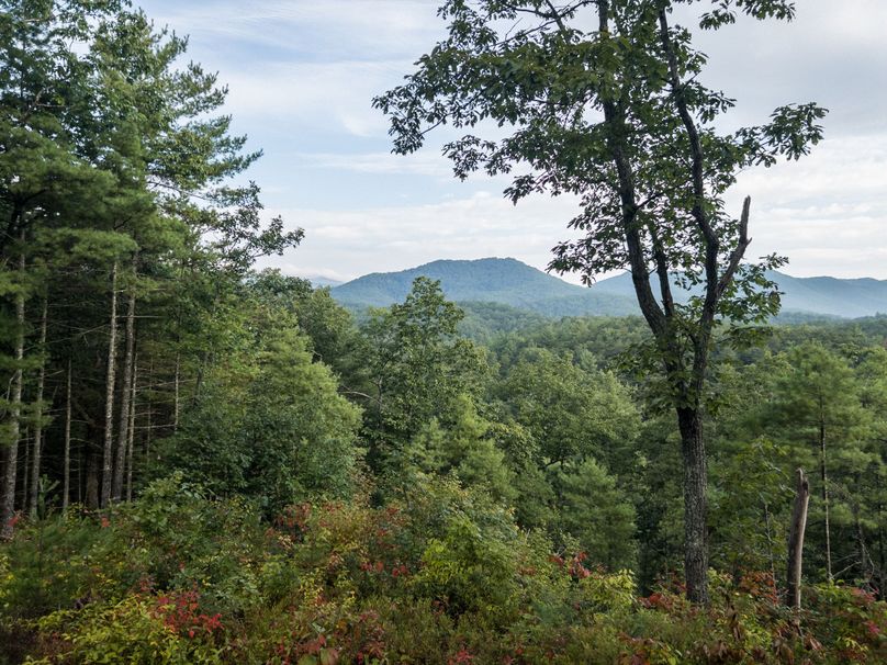 10_30.75_Alleghany_VA