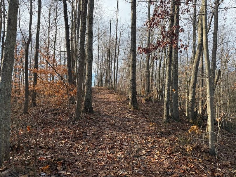 006 excellent trail system leading throughout the property