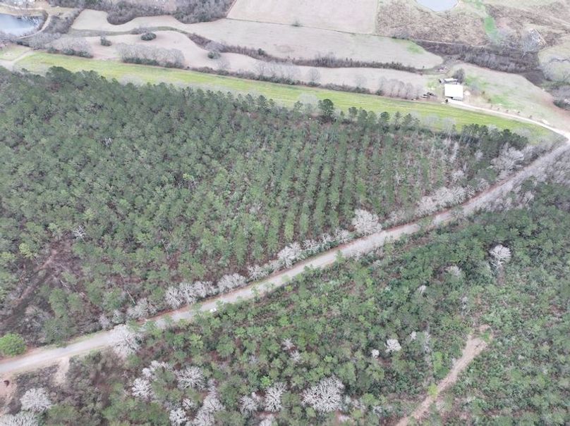 dji_fly_20260217_132544_0111_1771436919612_photo