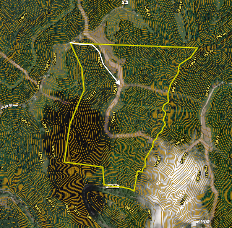 Screen Shot 2024-03-23 at 8.17.20 AM