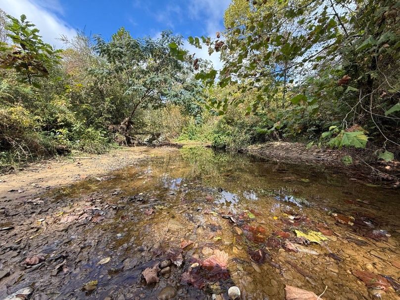 008 another of the blue line stream