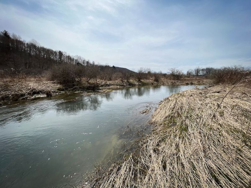 Tioga__NY_109.7_Burris_Photos_125