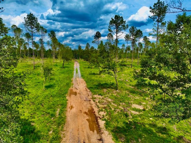 EDF0093F-681C-4AB5-A199-952273B64FDD_1_105_c