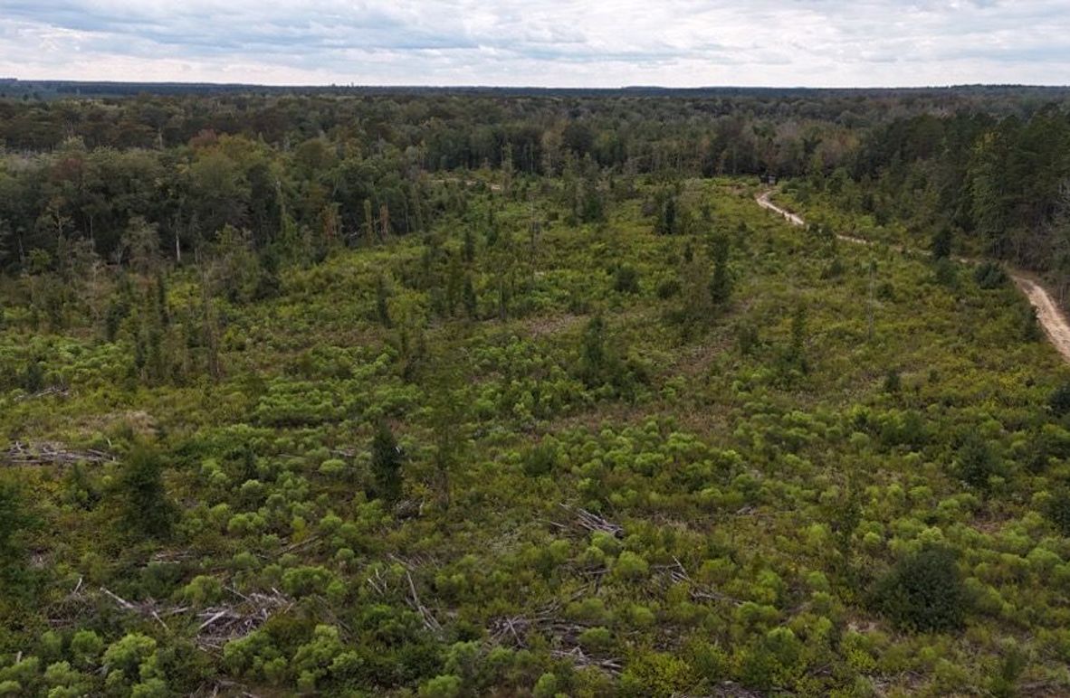 DJI_20240930044826_0133_D