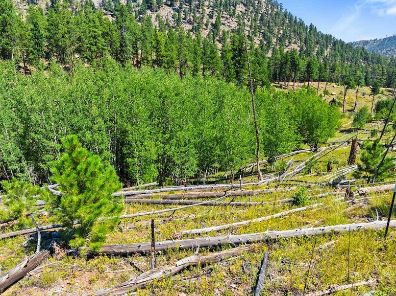 DJI_20250813111735_0060_D_1