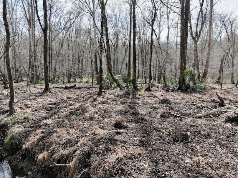 dji_fly_20260120_121920_213_1768929697434_photo